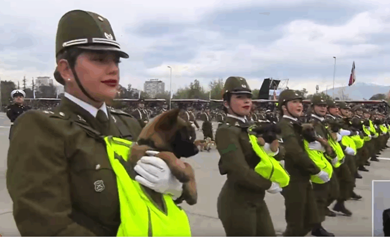 Lo que todos estaban esperando: revive el desfile canino que encantó en la Parada Militar