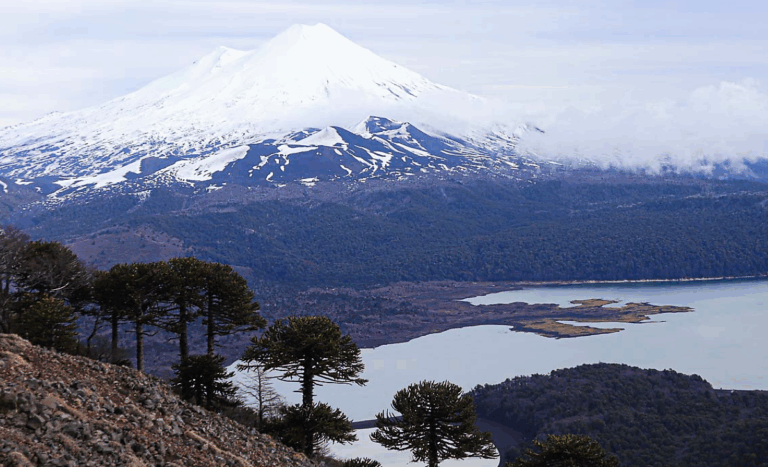 Muere turista alemán en ladera del volcán Llaima: tenía 67 años