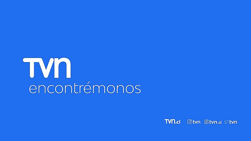¿Adiós al Rojo? TVN descarta cambio histórico en su logo que se visualiza en su sitio web