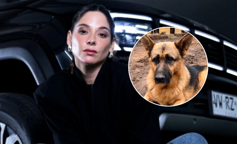 Kel Calderón impactó con desesperado llamado por muerte de sus perros: ofreció millonaria recompensa