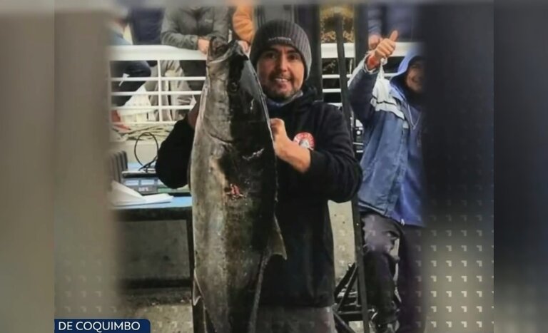 Experta puso en duda cruda hipótesis sobre buzo desaparecido en Chañaral de Aceituno: 