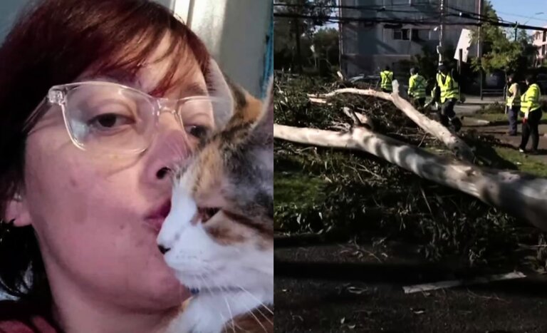 Mujer salió a buscar a su hija y terminó aplastada por un árbol durante temporal en Estación Central
