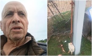 Denuncia de Patricio Oñate provocó renuncia de autoridad en Castro: lo acusó de robarle luz