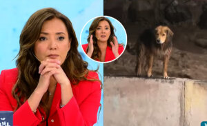 La angustia de Priscilla Vargas por complejo rescate de perro en el Mapocho: “Me tiene nerviosa”