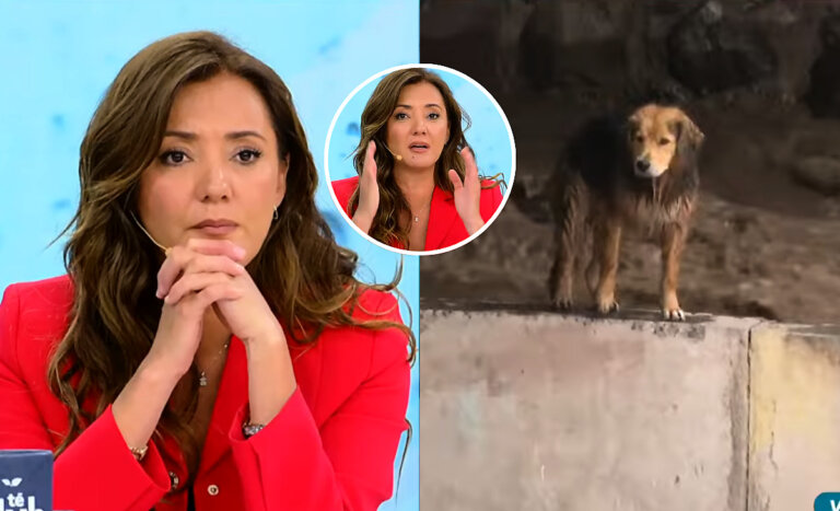 La angustia de Priscilla Vargas por complejo rescate de perro en el Mapocho: “Me tiene nerviosa”