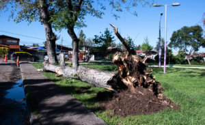 ¿Puede volver a ocurrir? Experto explica qué provocó el tornado en Estación Central